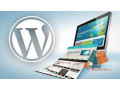 i-will-build-modern-and-responsive-wordpress-website-design-small-2